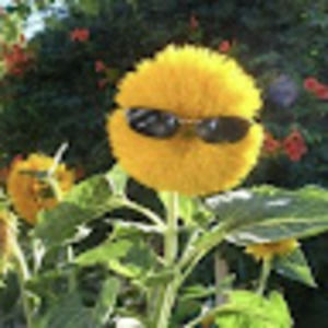 Meet your Posher, Ellen